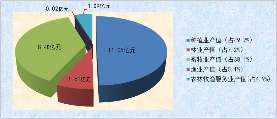 图片5.jpg